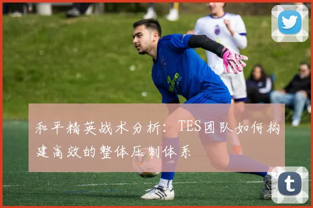 和平精英战术分析：TES团队如何构建高效的整体压制体系