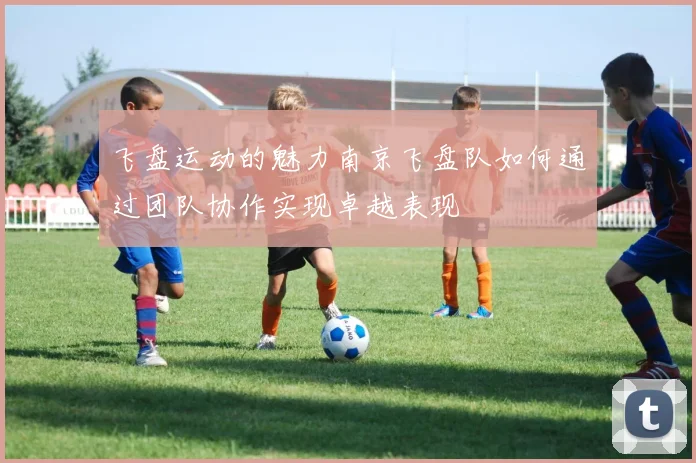 飞盘运动的魅力南京飞盘队如何通过团队协作实现卓越表现