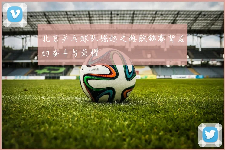 北京乒乓球队崛起之路欧锦赛背后的奋斗与荣耀